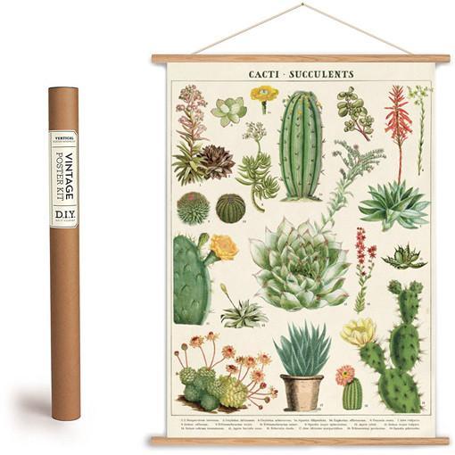 cavallini succulents Cavallini Vintage Poster- Cactus & Succulents– Tommy & Milly